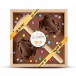 Chocolat à Casser - Chocogrenouille - Harry Potter