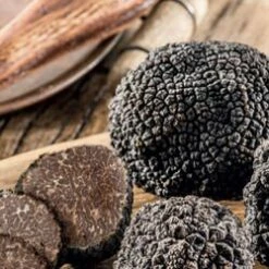 Coffret "Il était Une Fois La Truffe" -LE COMPTOIR DE MATHILDE Boutique coffret il etait une fois la truffe 3